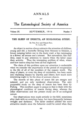 The Sleep of Insects; an Ecological Study
