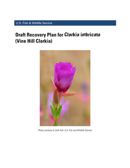 Vine Hill Clarkia Draft Recovery Plan