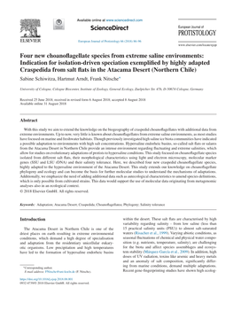 Four New Choanoflagellate Species from Extreme Saline Environments