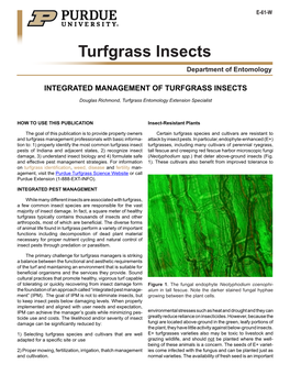 Turfgrass Insects Department of Entomology