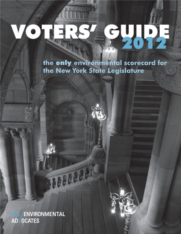 Voters' Guide