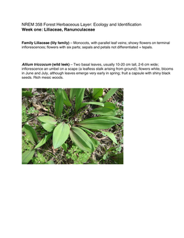 Ecology and Identification Week One: Liliaceae, Ranunculaceae