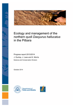 Ecology and Management of the Northern Quoll Dasyurus Hallucatus in the Pilbara