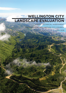 Boffa Miskell Report – Wellington City Landscape Evaluation (June 2019)