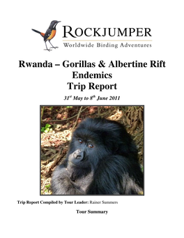 Rwanda – Gorillas & Albertine Rift Endemics Trip Report