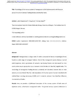 Morphology of the Nervous System of Monogonont Rotifer Epiphanes Senta with Focus On