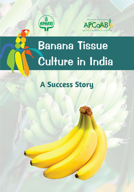 Banana Tissue Culture in India, a Success Story, 2019