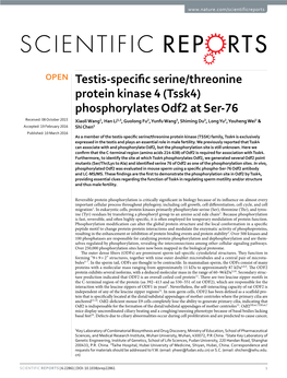 Testis-Specific Serine/Threonine Protein Kinase 4 (Tssk4)