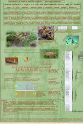 Galleria Mellonella (Lepidoptera: Pyralidae; the Greater Wax Moth) Larvae, the Insect Is a [Friend and Model]