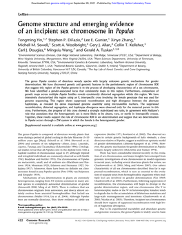 Genome Structure and Emerging Evidence of an Incipient Sex Chromosome in Populus