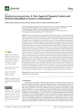 Neofusicoccum Parvum, a New Agent of Sequoia Canker and Dieback Identiﬁed in Geneva, Switzerland