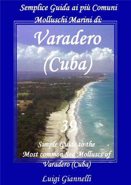 Varadero (Cuba) Si È Voluto Esemplificare La Trattazione Alle Specie Più Comuni, Quelle Cioè Che Il Neofita Può Realmente Rinvenire Lungo Le Spiagge