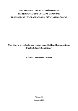 Morfologia E Evolução Em Vespas Parasitoides (Hymenoptera: Chalcididae: Chalcidinae)