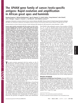 The SPANX Gene Family of Cancer Testis-Specific Antigens
