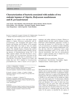 Characterization of Bacteria Associated with Nodules of Two Endemic Legumes of Algeria, Hedysarum Naudinianum and H. Perrauderianum