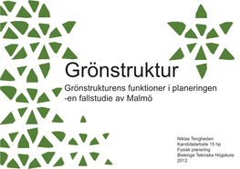 Grönstrukturens Funktioner I Planeringen, En Fallstudie Av Malmö
