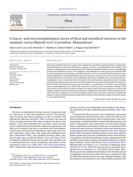 And Micromorphological Survey of Floral and Extrafloral Nectaries in The