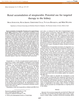 Renal Accumulation of Streptavidin: Potential Use for Targeted Therapy to the Kidney