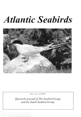 Atlantic Seabirds