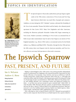 The Ipswich Sparrow: Past, Present, and Future
