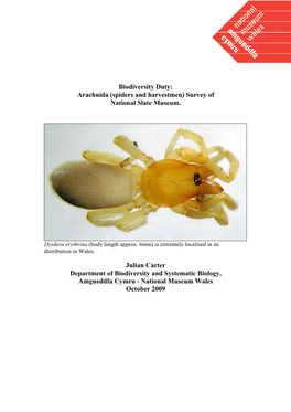 Arachnida (Spiders and Harvestmen) Survey of National Slate Museum