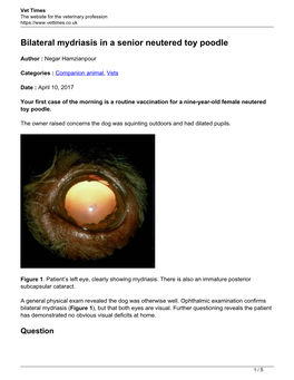 Bilateral Mydriasis in a Senior Neutered Toy Poodle