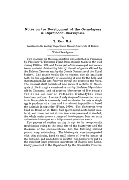 Notes on the Development of the Germ-Layers in Diprotodont Marsupials