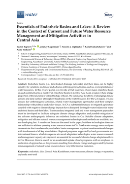 Essentials of Endorheic Basins and Lakes: a Review in the Context of Current and Future Water Resource Management and Mitigation Activities in Central Asia
