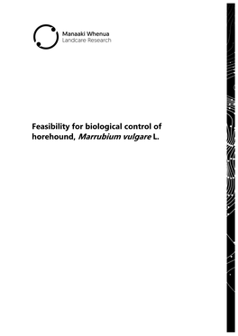 Feasibility for Biological Control of Horehound, Marrubium Vulgare L