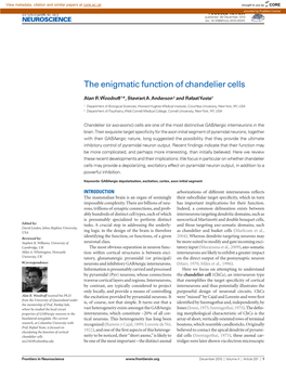 The Enigmatic Function of Chandelier Cells