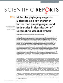 Molecular Phylogeny Supports S-Chaetae As a Key Character Better