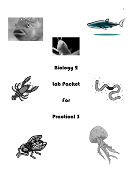 Protista and Fungi