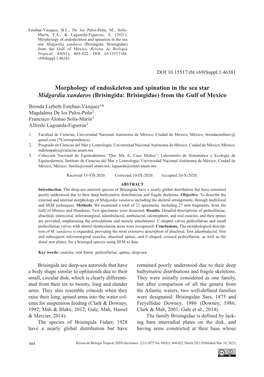 Morphology of Endoskeleton and Spination in the Sea Star Midgardia Xandaros (Brisingida: Brisingidae) from the Gulf of Mexico