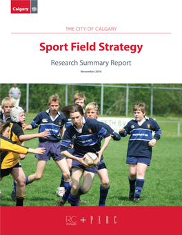 Sport Field Strategy Research Summary Report
