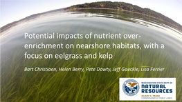 Enrichment on Nearshore Habitats, with a Focus on Eelgrass and Kelp