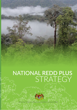 National REDD+ Strategy