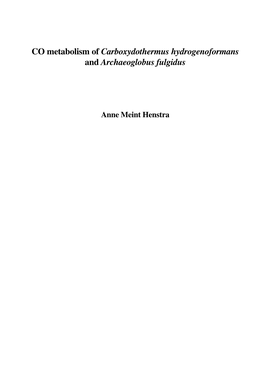 CO Metabolism of Carboxydothermus Hydrogenoformans and Archaeoglobus Fulgidus