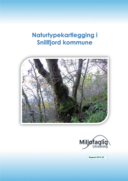 Naturtypekartlegging I Snillfjord Kommune