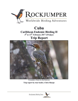 Cuba Caribbean Endemic Birding II 4Th to 13Th February 2017 (10 Days) Trip Report