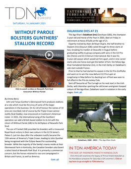 Without Parole Bolsters Gunthers' Stallion Record