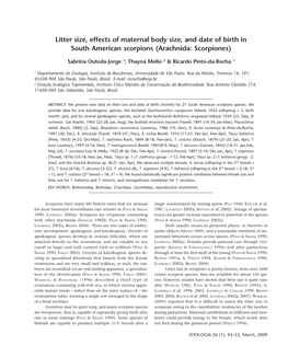 Litter Size, Effects of Maternal Body Size, and Date of Birth in South American Scorpions (Arachnida: Scorpiones)