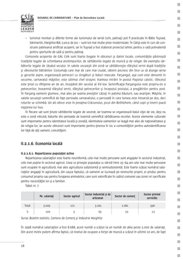 II.2.1.6. Economia Locală