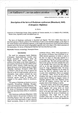 Pescription of the Larva of Oxelytrum Erythrurum (Blancha.Rd, 1849) (Coleoptera: Silphidae)