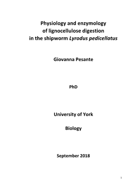 Phd Thesis Giovanna Pesante.Pdf