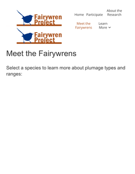 Meet the Fairywrens