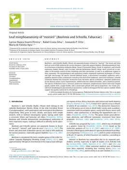 Leaf Morphoanatomy of “Mororó” (Bauhinia and Schnella, Fabaceae)