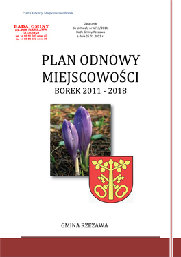 Plan Odnowy Miejscowości Borek