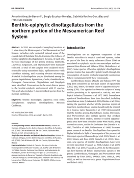 Benthic-Epiphytic Dinoflagellates from the Northern Portion of the Mesoamerican Reef System