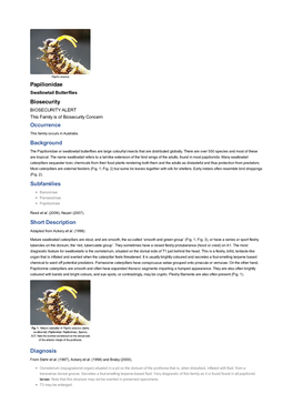Papilionidae Biosecurity Occurrence Background Subfamilies Short Description Diagnosis