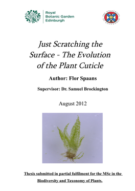 Just Scratching the Surface - the Evolution of the Plant Cuticle Author: Flor Spaans